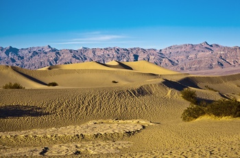 Mojave ørkenen