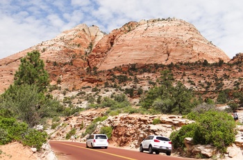 Vej med biler gennem Zion Nationalpark, USA