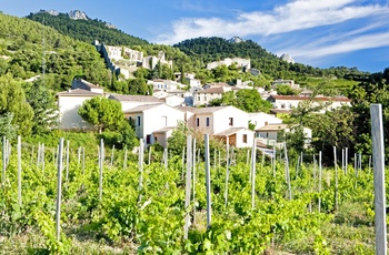 Byen Gigondas omgivet af vinmarker, Provence