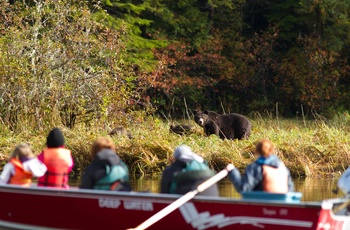 Great Bear Nature Lodge, British Columbia, Canada