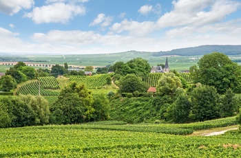 Montagne de Reims i Champagne-regionen, Frankrig
