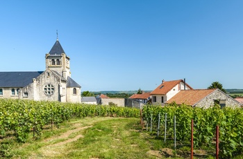 Lille landsby o Champagne-området nær Reims