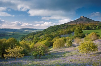Rosebery Topping