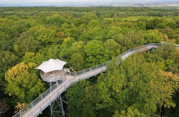 Nationalpark Hainich i Thüringen