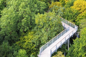 Hainich National Park, Thuringen