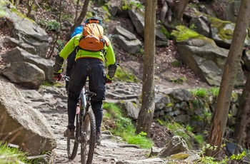 På mountainbike i Harzen