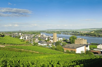 Udsigt til købstaden Rüdesheim ved floden Rhinen