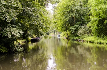 Floden Spree i Spreewald, Brandenburg