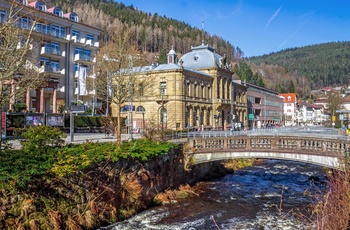 Spabyen Bad Wildbad i Schwarzwald