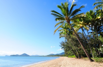 Tropisk strand i Queensland, Australien