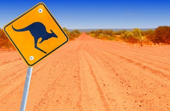 Kænguru-vejskilt i Australien
