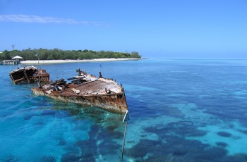 Heron_Island - Australien