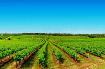 Vinmark i Australien