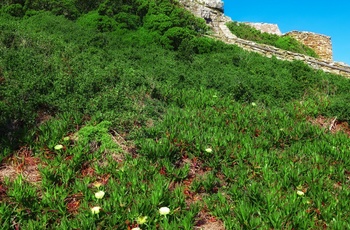 12_HI_ZAF_Cape_Point_2.jpg
