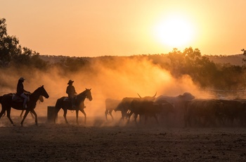 cowboys i Australien