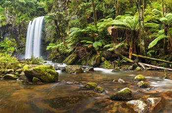 Otway Nationalpark i Australien