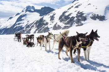 Med hundeslæde fra Fairbanks i Alaska, USA