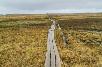 Knivskjellodden ved Nordkap - gangsti over vådt område