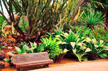 Bænk i Jardim Botânico Tropical i Lissabon