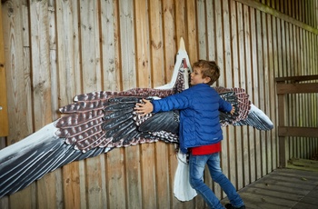 Fugle på Nordens Ark, Sverige Foto Jonas Ingman