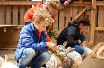 Kom tæt på dyrene i Nordens Ark Foto Jonas Ingman