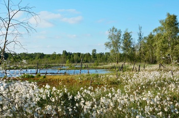 Tunneldal, Norderstedt