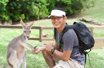 Kænguru i Australia Zoo 
