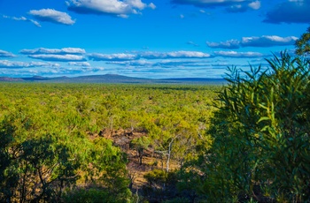 Undara Volcanic National Park i Queensland 