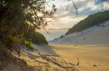 Carlo Sand Blow på Rainbow Beach i Queensland 