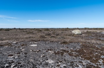 Kalkstenslandskab på Stora Alvar, Øland, Sverige