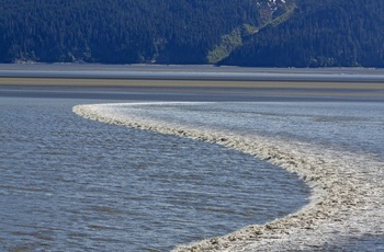 Tidevandsbølgen kaldet "tidevandsboring" kan ses langs Turnagain Arm, Alaska
