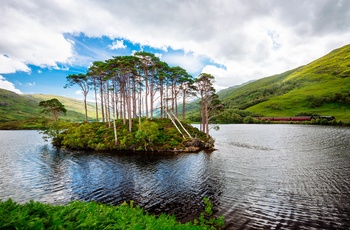 Øen Eilean na Moine i Loch Eilt - kendt fra Harry Potter