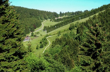 Sommerrodelbahn, St. Andreasberg