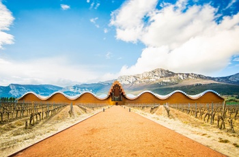 Vingården Bodegas Ysios i Baskerlandet i det nordlige Spanien