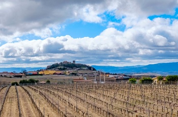 Vingården Bodegas Ysios i Baskerlandet i det nordlige Spanien - vinmarker