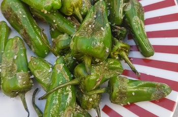 Typisk Tapas, padon pepper, på Gran Canaria, Spanien