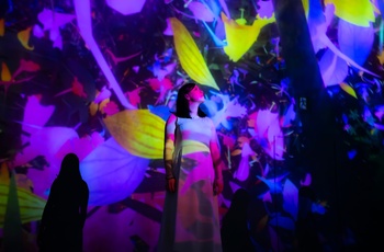 Det digitale kunstmuseum teamLaB Borderless i Tokyo, Japan