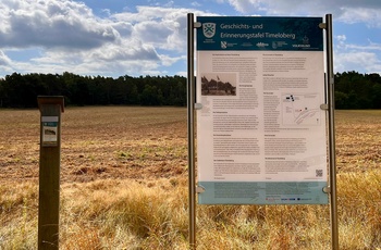 Timeloberg på Lüneburger Heide