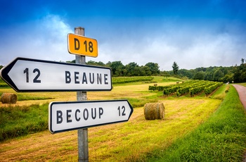 Oplev Tour de France i en autocamper - du kommer forbi mange smukke områder på din tur rundt i Frankrig
