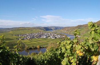 Trittenheim