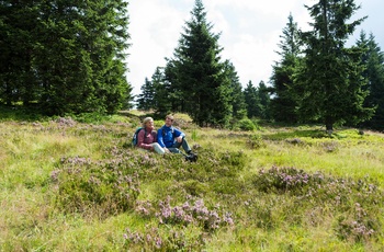 På vandring ved Inselberg i Thüringen - © Thüringer Tourismus GmbH