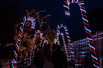 Jul i New York City