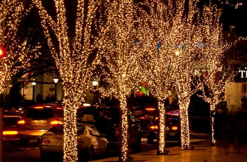 Jul i New York City - julebelysning på træer