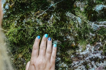 Biolog og naturformidler Vicky Knudsen på autocamper-tur i Schwarzwald