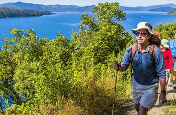 Vandring på Queen Charlotte Track