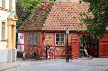 Ystad, Apotekerhusene