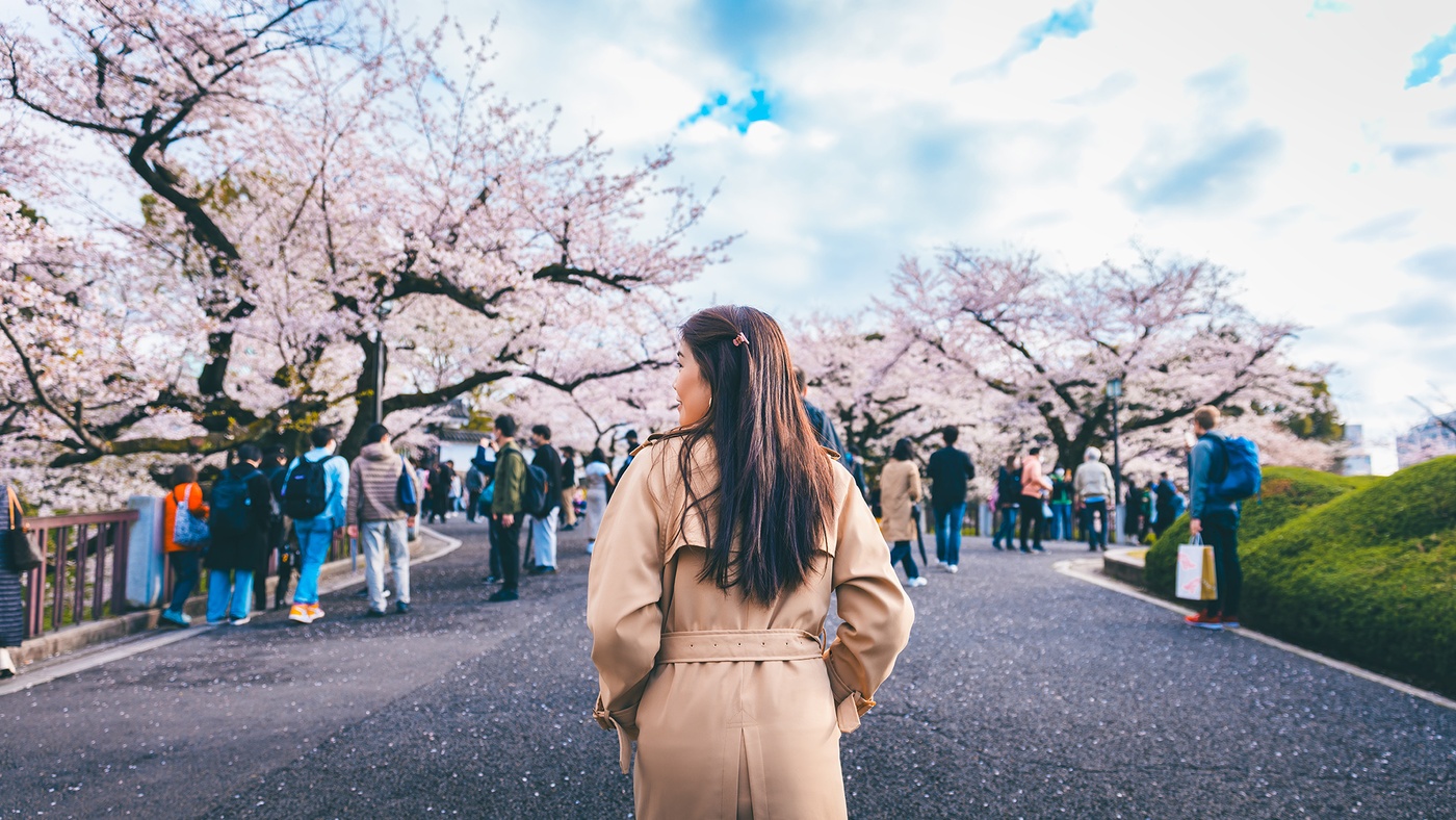 Sakura i Japan