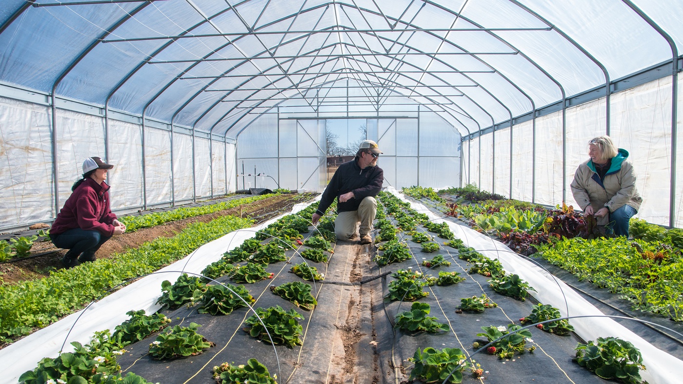 Bæredygtig landbrug
