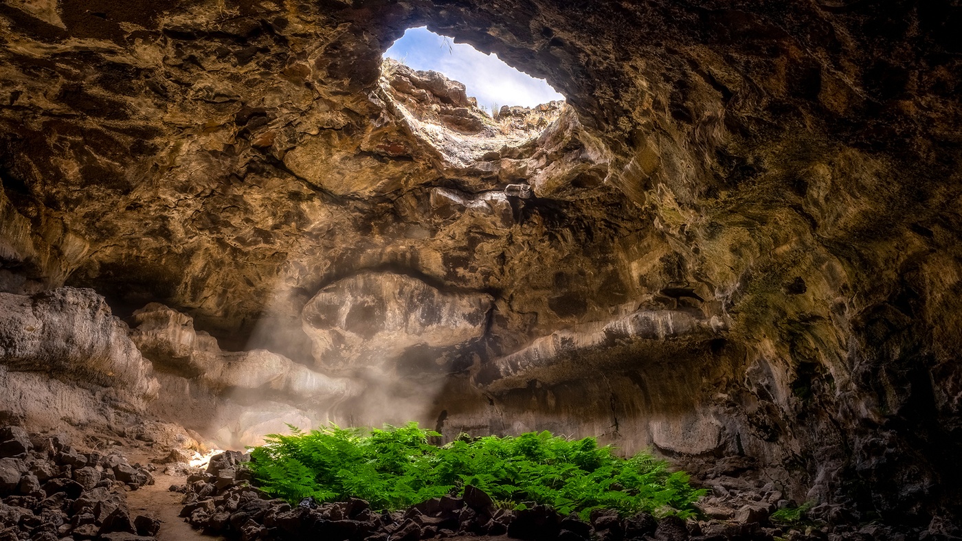 Mammoth Cave National Park