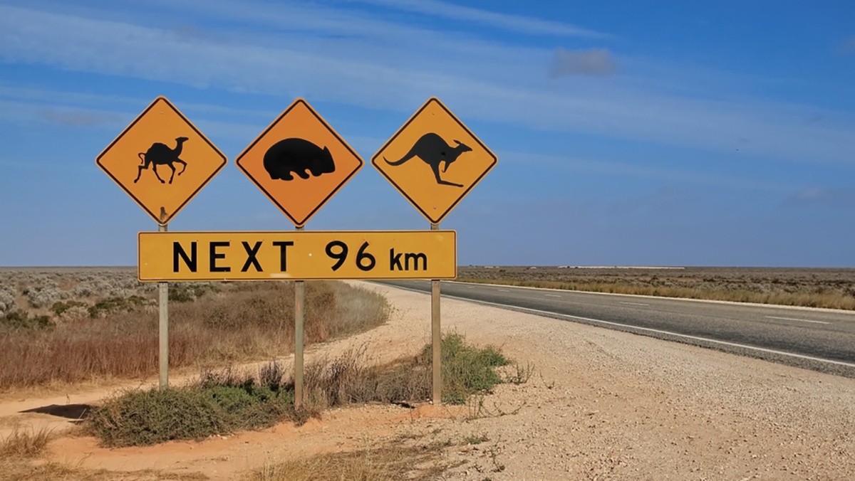 Nullabor vejskilt